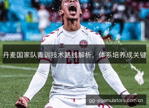 丹麦国家队青训技术路线解析，体系培养成关键
